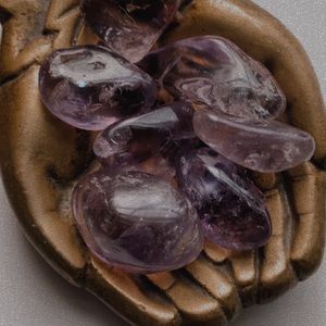 Meet your Posher, Aria